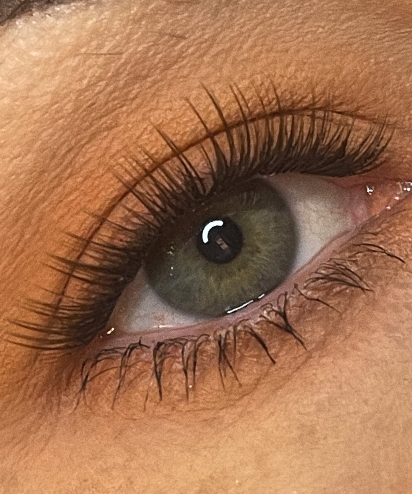 LALA LASH UK ‘Mocha Wisp’ lash kit