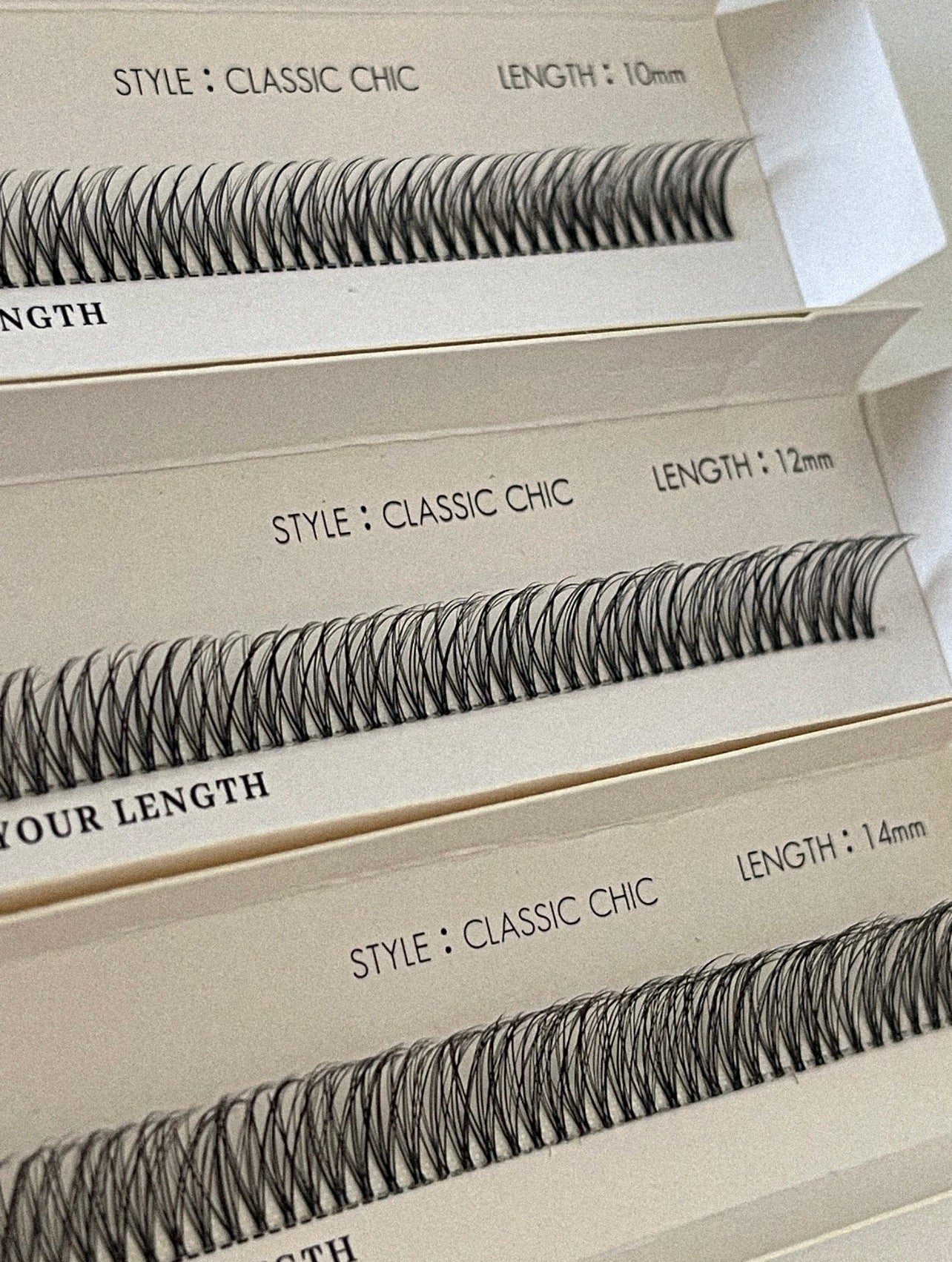 Classic Chic - Ribbon