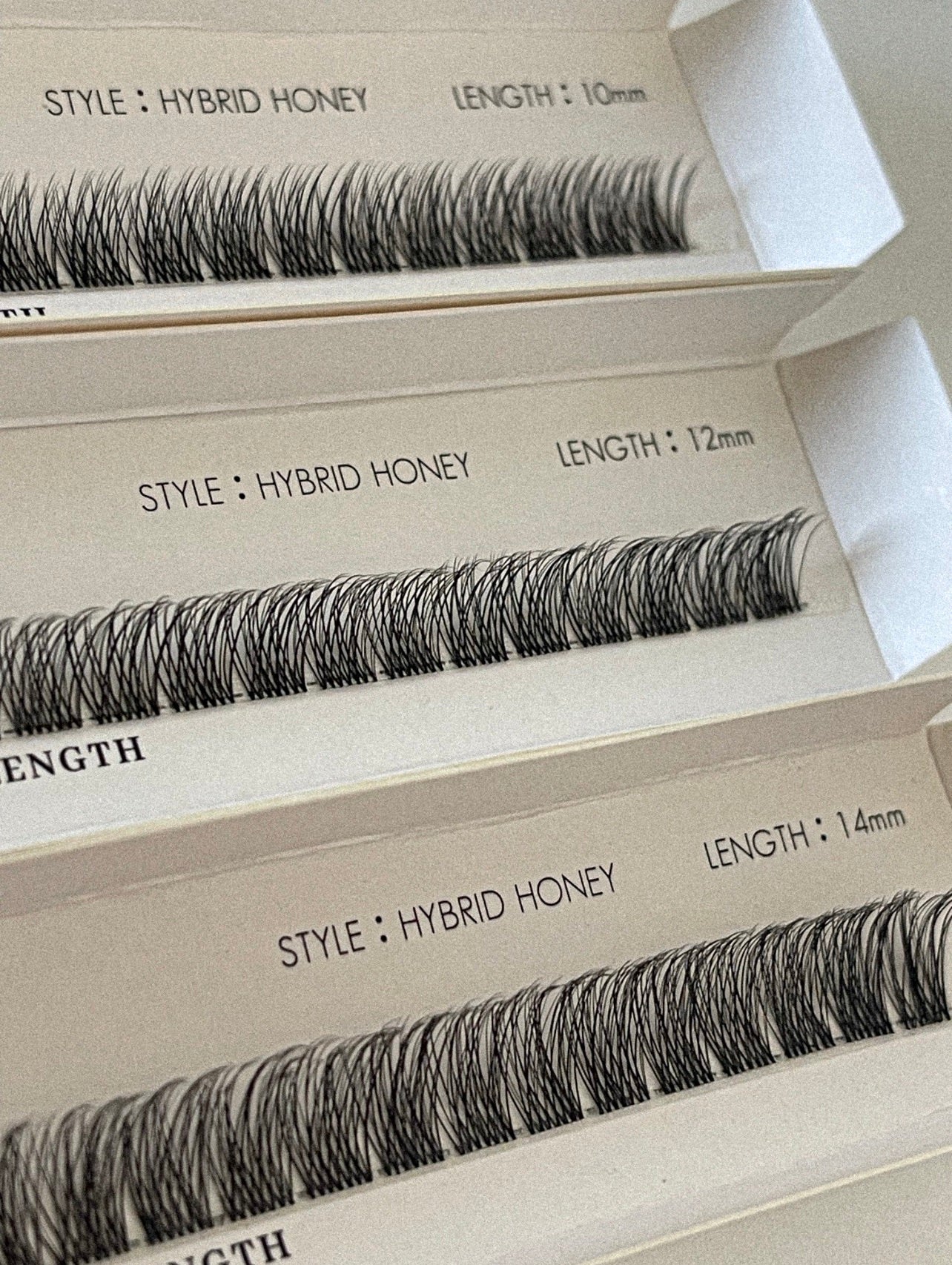 Hybrid Honey - Ribbon